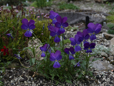 DSC_7771_DxO.jpg