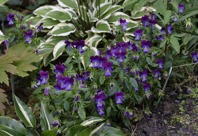 DSC_7775_DxO.jpg