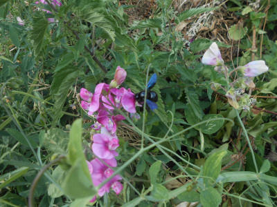 DSCN6267.JPG