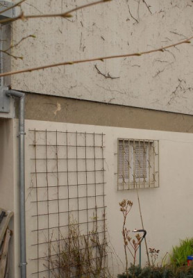 Wand3-0010-Ausschnitt-klein.jpg