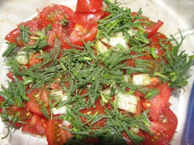 tomate_agretti.JPG