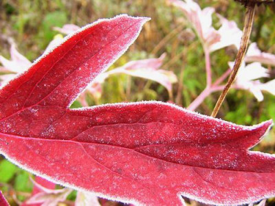 gut_also_Farbe_und_Winter.jpg