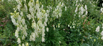 20230701_090133.jpg