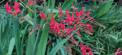 20230701_090048.jpg