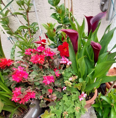 20230702_102838.jpg