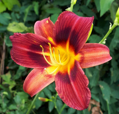 20230702_151629.jpg