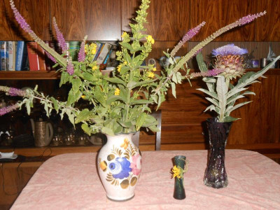 DSCN6303.JPG
