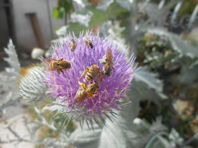 DSCN6315.JPG