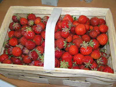 erdbeeren190608.jpg