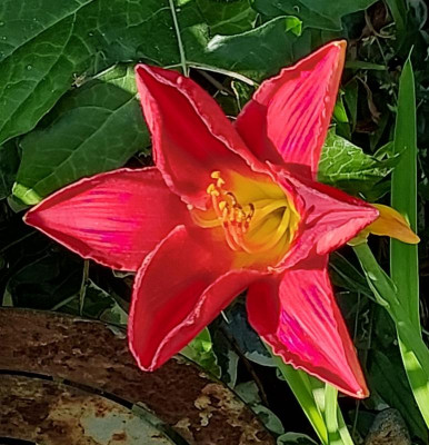 20230706_184710.jpg