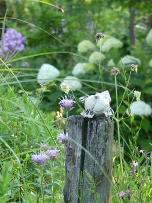 2023-07-06 Gartenimpressionen 4.jpg