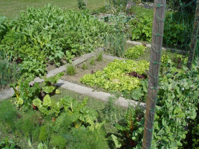 garten-001.jpg