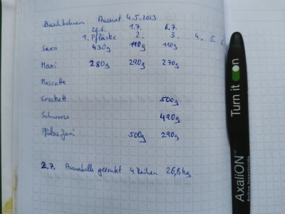 Buschbohnen Zwischenbilanz.jpeg