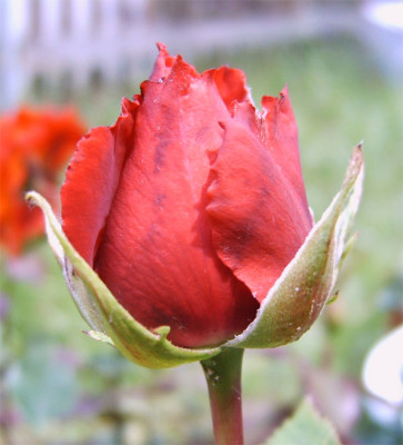 Unbekannt1_-15.06.08.jpg