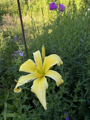 IMG_6606.jpeg
