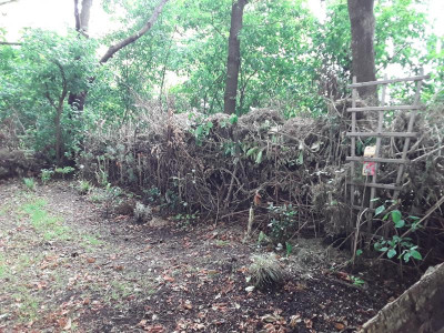 20230708_091213.jpg
