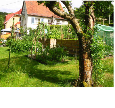 Gemusegarten_06.08_2.jpg