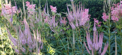 20230708_073740.jpg