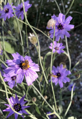 IMG_2010.jpeg