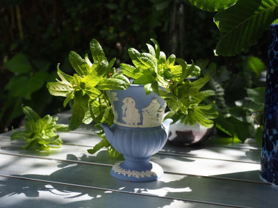 Wedgwood blue jasper P7060039.JPG