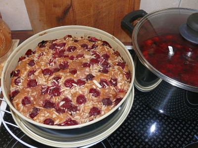 230709_Kirschkuchen.jpg