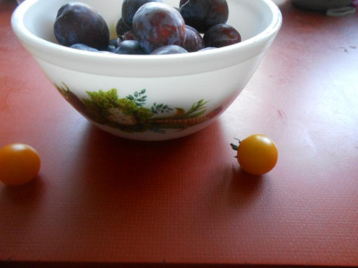 DSCN6400.JPG