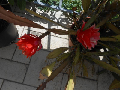 DSCN6392.JPG
