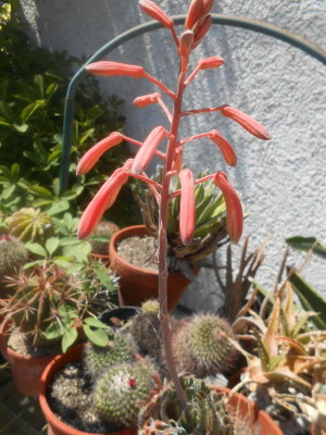 DSCN6398.JPG