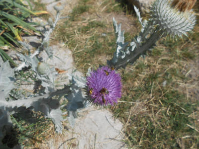 DSCN6330.JPG