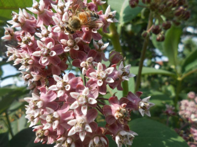 DSCN6349.JPG