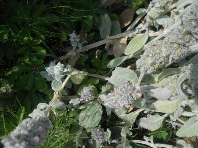 DSCN6354.JPG