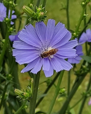 20230710_090939.jpg
