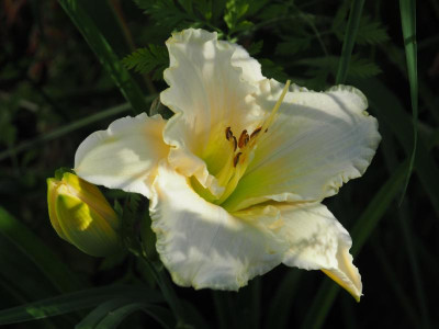 Monica Marie 1982 Gates P7180007.JPG