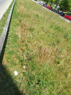 UundSBahn.jpg