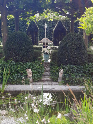 Garten im Juli.jpg