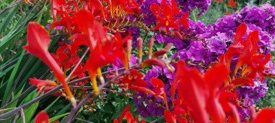 20230713_091354.jpg