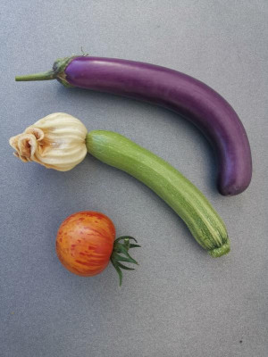 Aubergine_Zucchino_Tomate_20230715.jpg