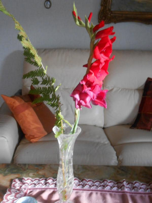 DSCN6453.JPG