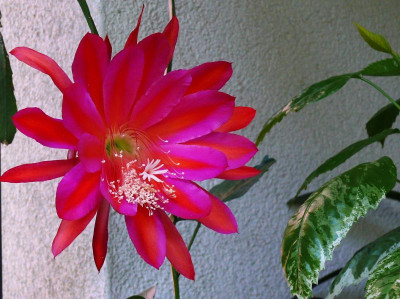 P1180060.JPG