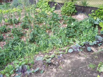 K640_100_5330.JPG