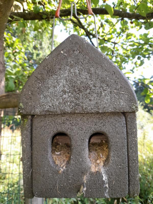 nistkastenschlingenbach.jpg