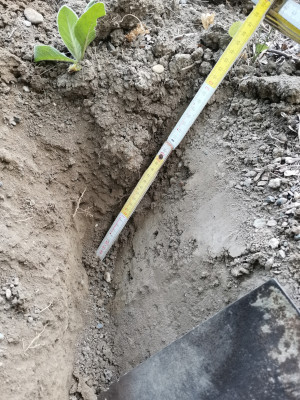 Beregnung 0mm.jpeg