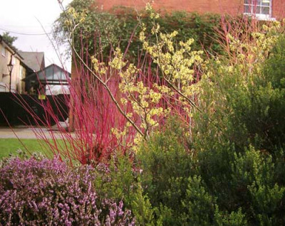 wintergarden_small.jpg