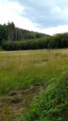 IMG-20230721-WA0014.jpeg