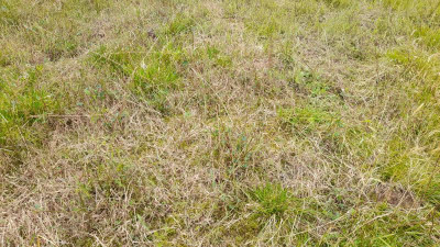 IMG-20230721-WA0027.jpeg
