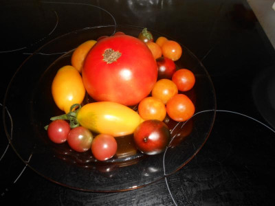 DSCN6542.JPG