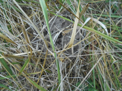 DSCN6528.JPG
