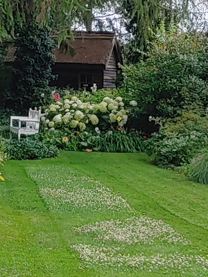 Foerstergarten20230721_101810_HDR.jpg