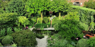 Blick aus dem Dachfenster.jpg