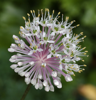 DSC_7879_DxO.jpg